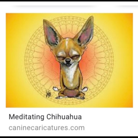 Offers? I’m all ears!! 🐶❤️☀️ - Picture 4 of 4